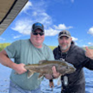 Meet your Posher, Terry